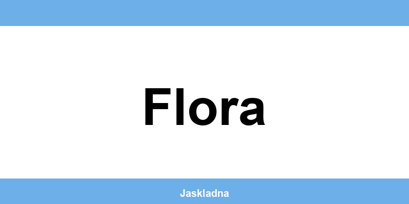 Kontakt ČSOB bankomat a pokladna v Flora
